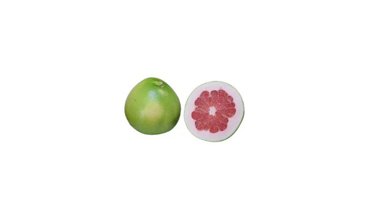 Lakpura Red Pomelo (Jambola) Fruit Plant